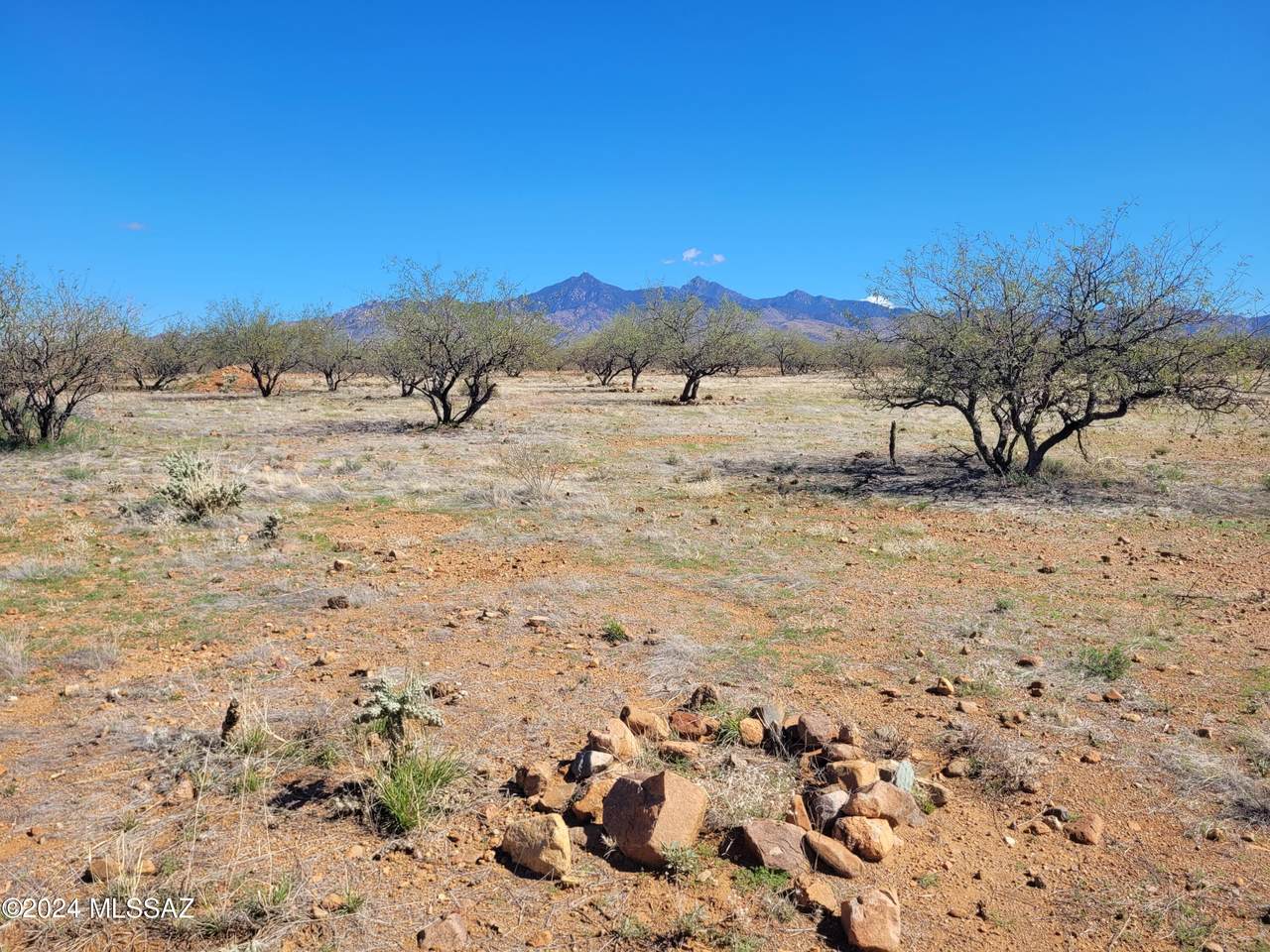 https://bt-photos.global.ssl.fastly.net/tucson/1280_boomver_1_22613816-2.jpg