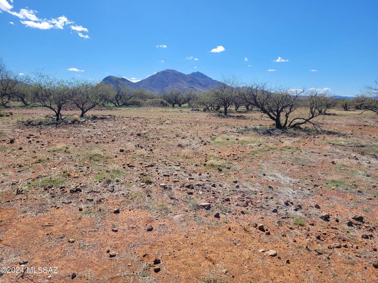 https://bt-photos.global.ssl.fastly.net/tucson/1280_boomver_1_22613816-2.jpg