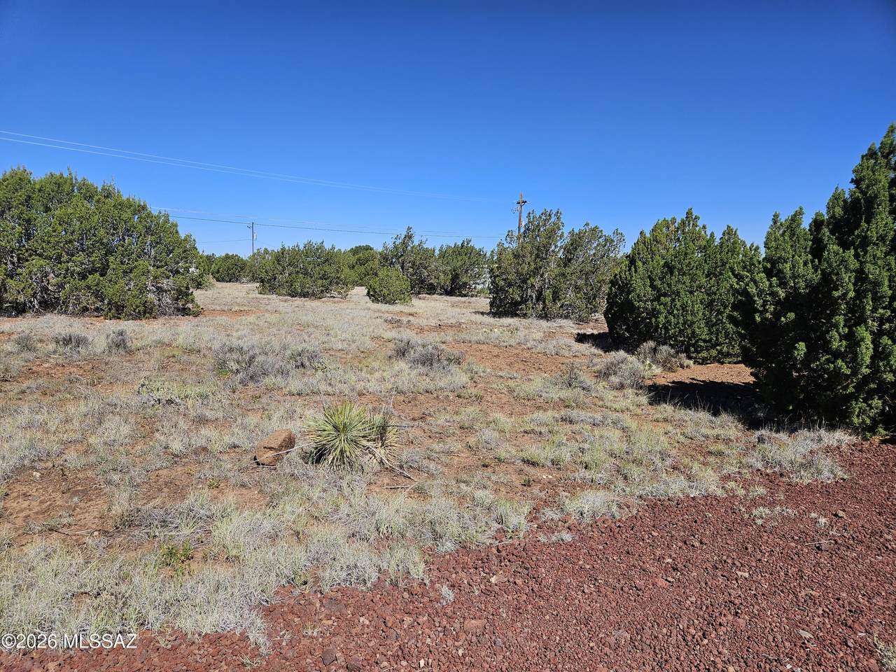 1798 Doughty Place - Photo 1