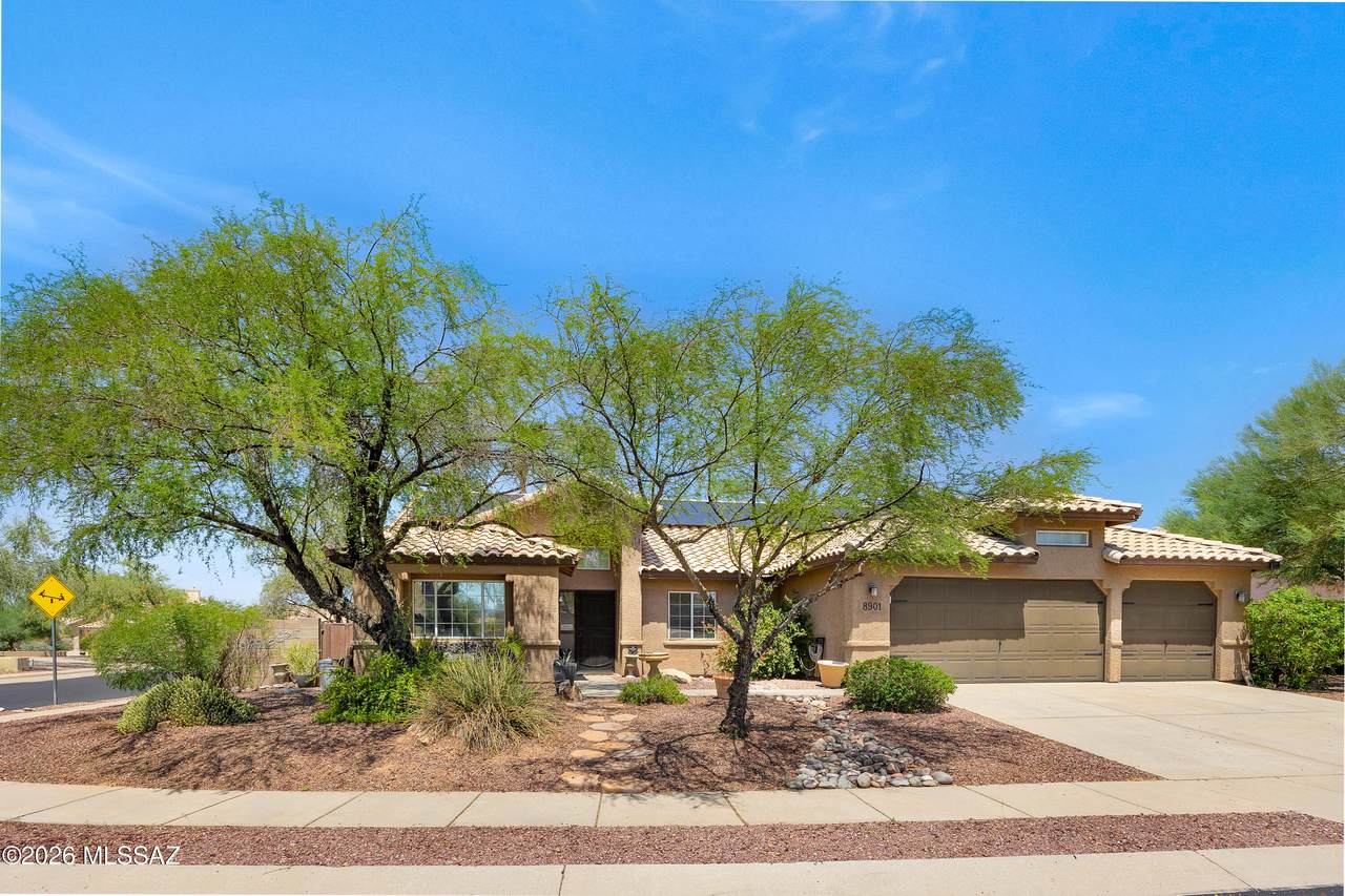8901 Palm Brook Drive - Photo 1