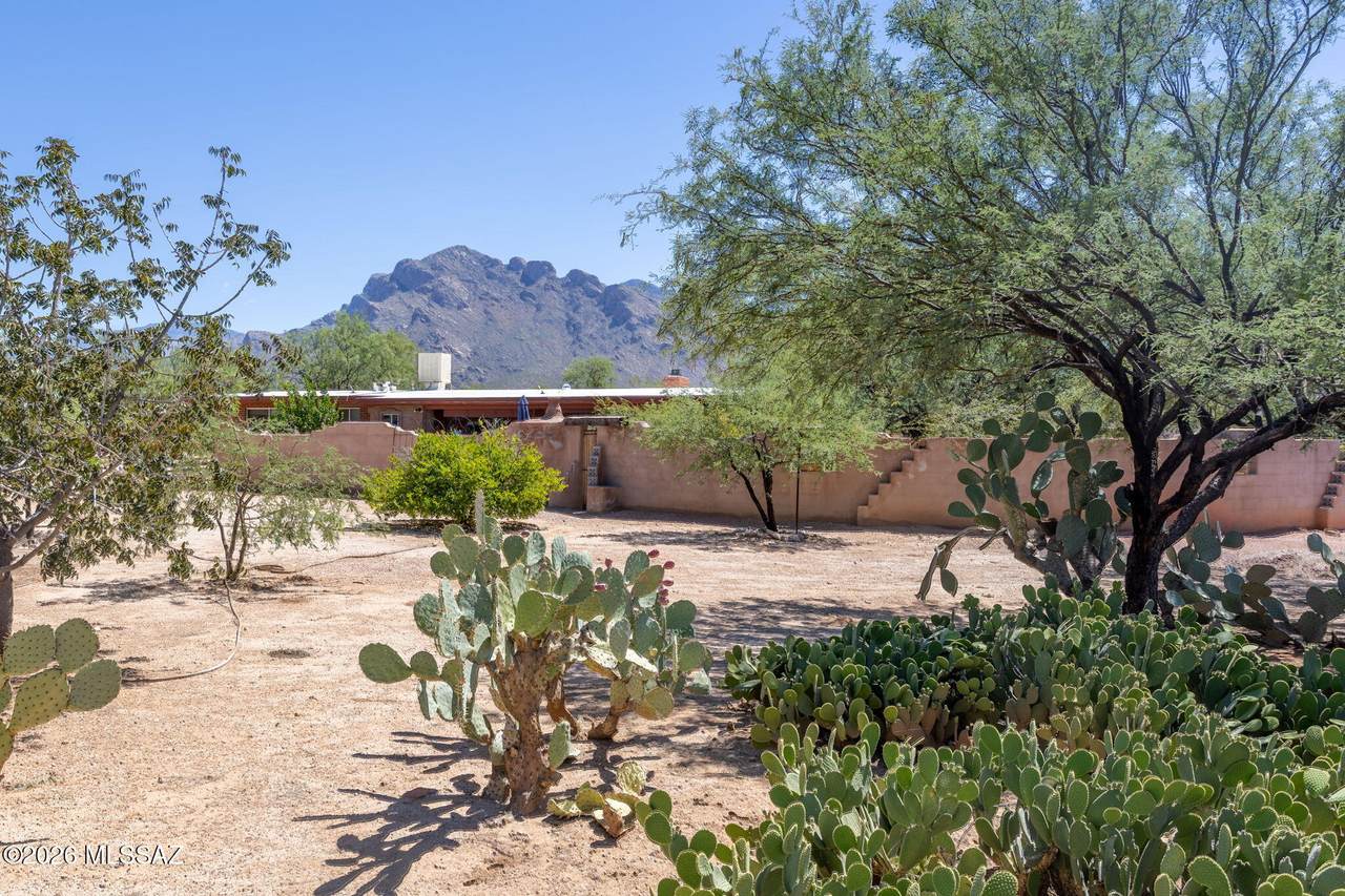 https://bt-photos.global.ssl.fastly.net/tucson/1280_boomver_1_22620538-2.jpg