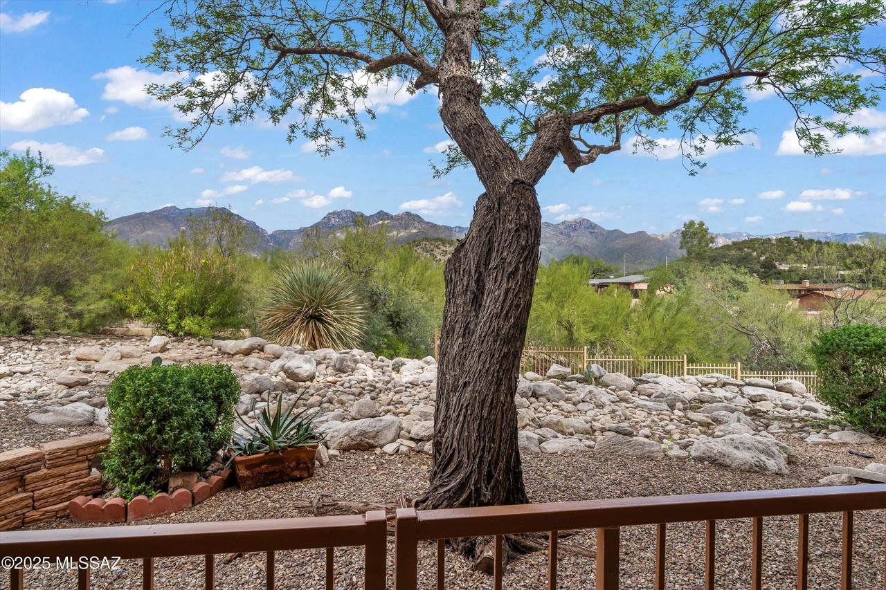 https://bt-photos.global.ssl.fastly.net/tucson/1280_boomver_1_22620682-2.jpg