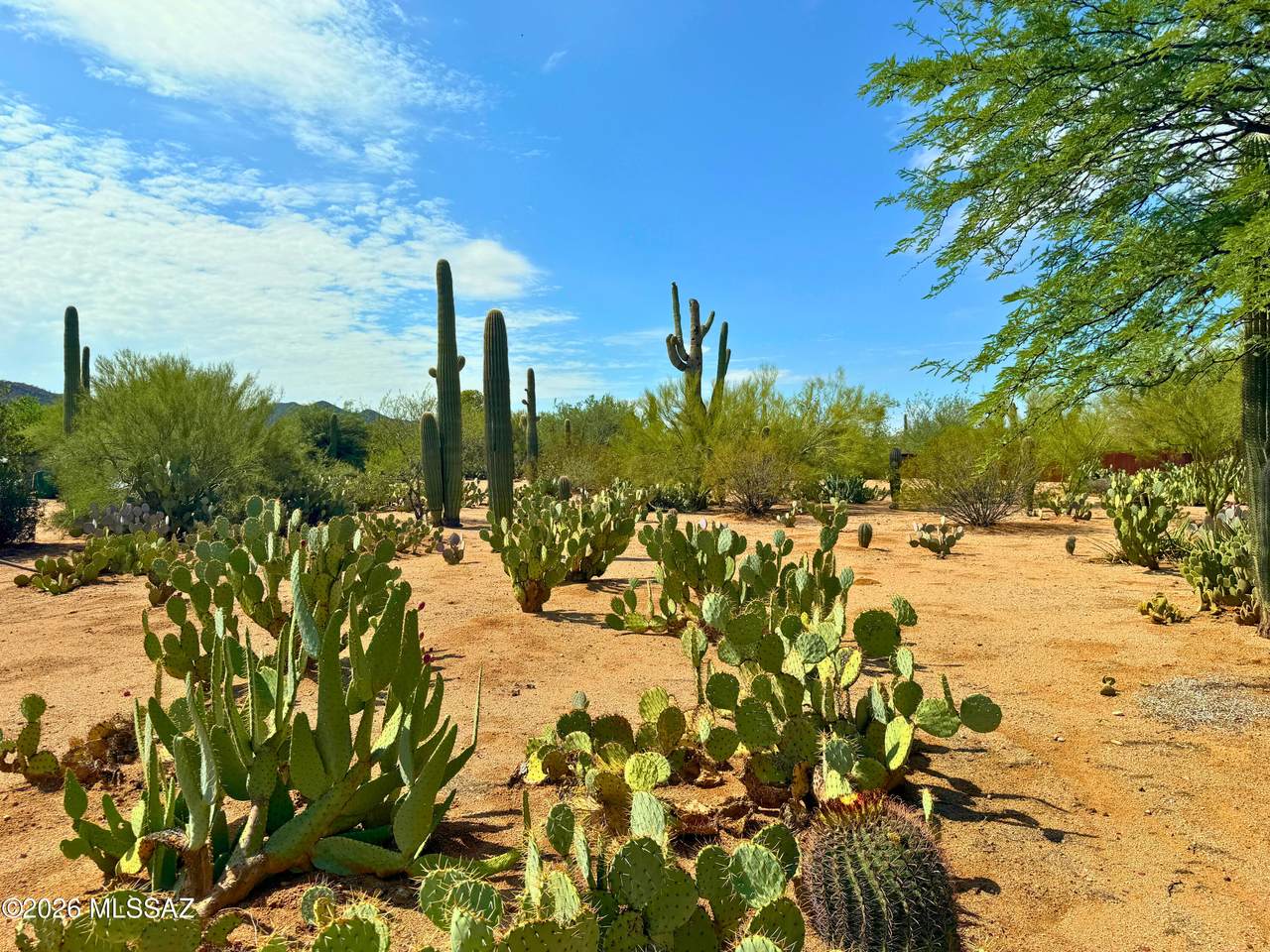 https://bt-photos.global.ssl.fastly.net/tucson/1280_boomver_1_22621539-2.jpg