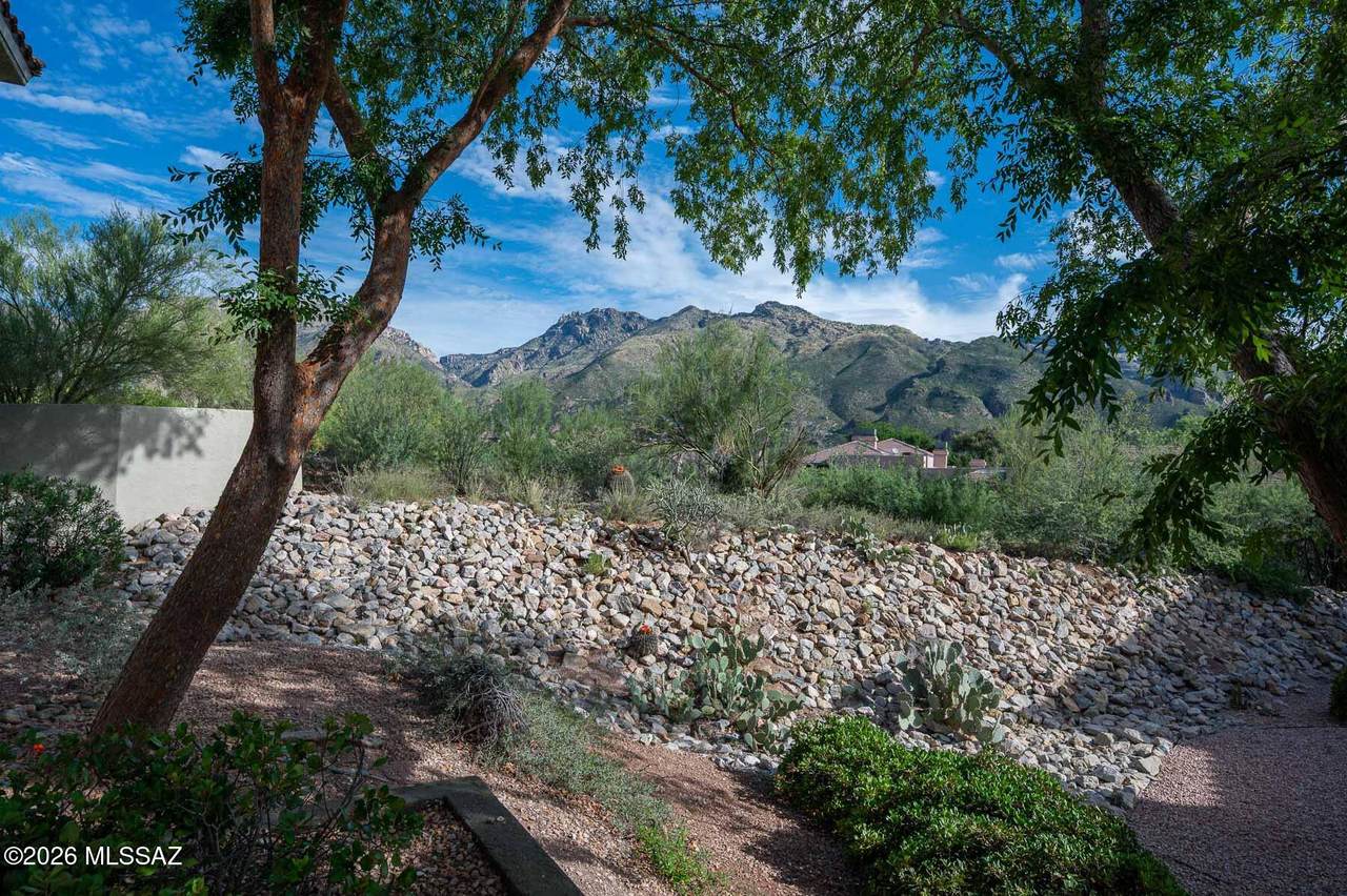 https://bt-photos.global.ssl.fastly.net/tucson/1280_boomver_1_22622050-2.jpg