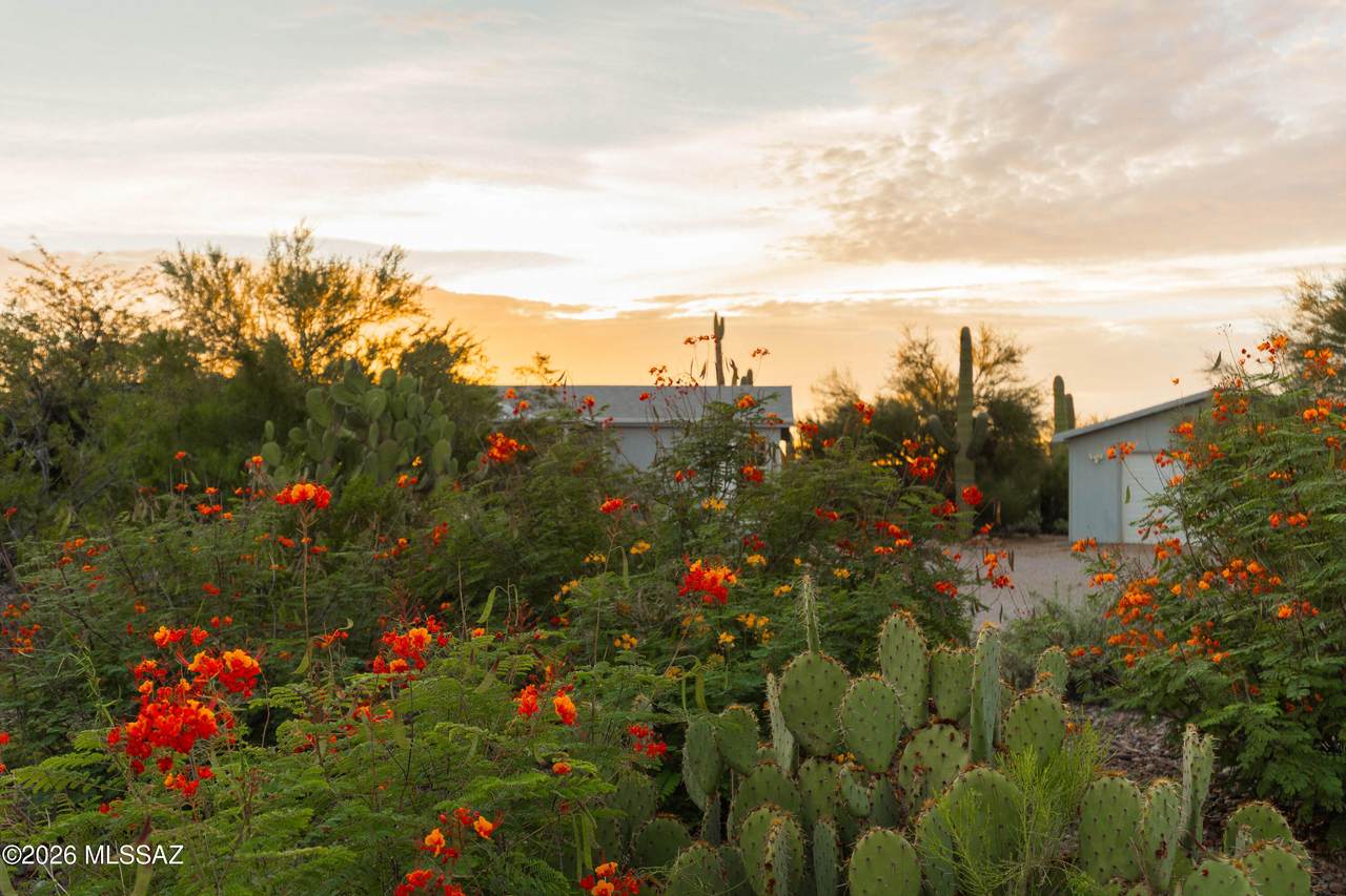 https://bt-photos.global.ssl.fastly.net/tucson/1280_boomver_1_22623055-2.jpg