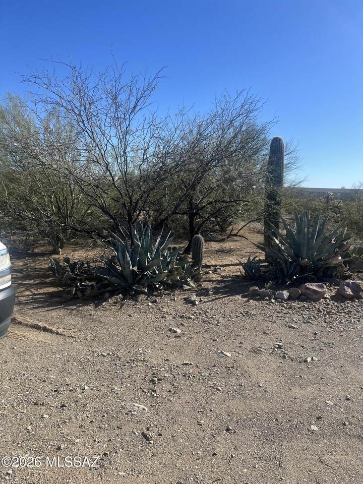 https://bt-photos.global.ssl.fastly.net/tucson/1280_boomver_1_22624172-2.jpg