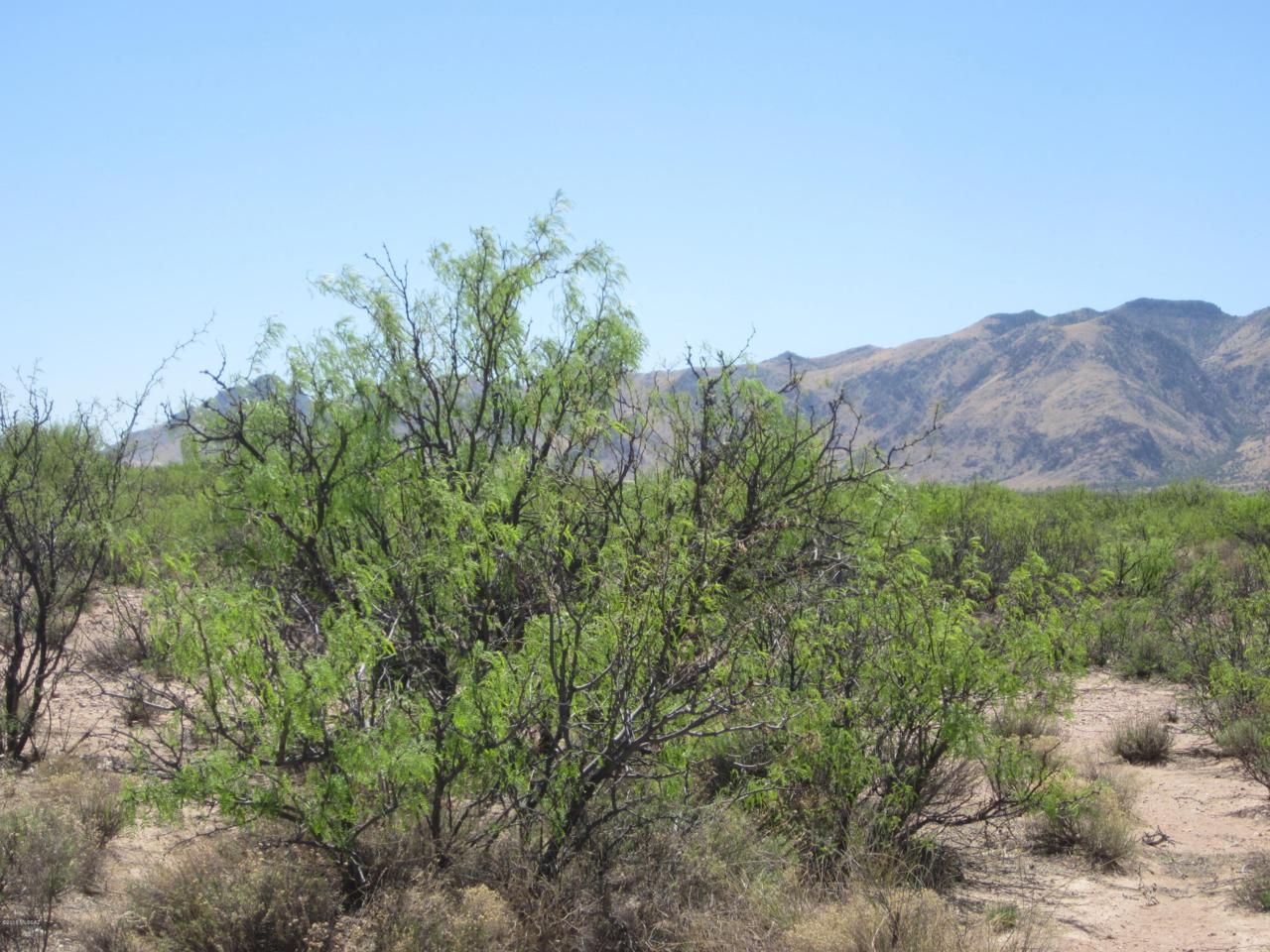 0000 Mohave Road - Photo 1