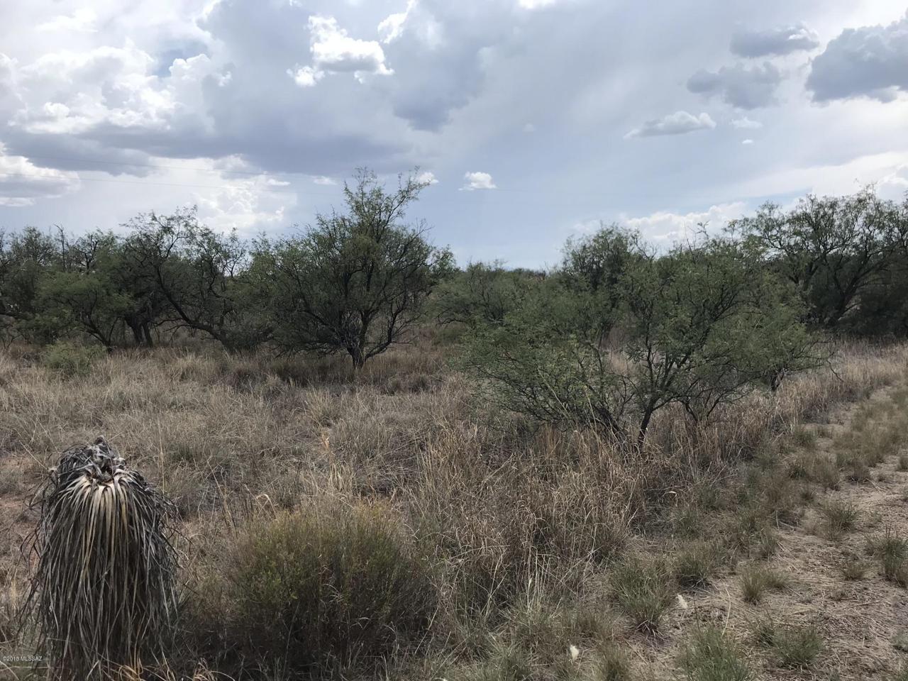 25240 Patayan Trail - Photo 1