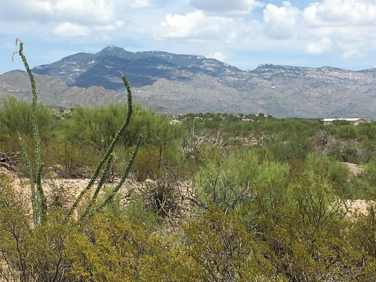 17178 Zoo Stage Road - Photo 1