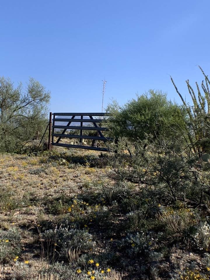 2801 Iris Place - Photo 1