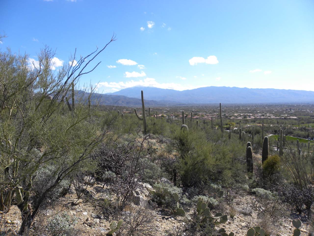 9801 Sabino Estates Drive - Photo 1