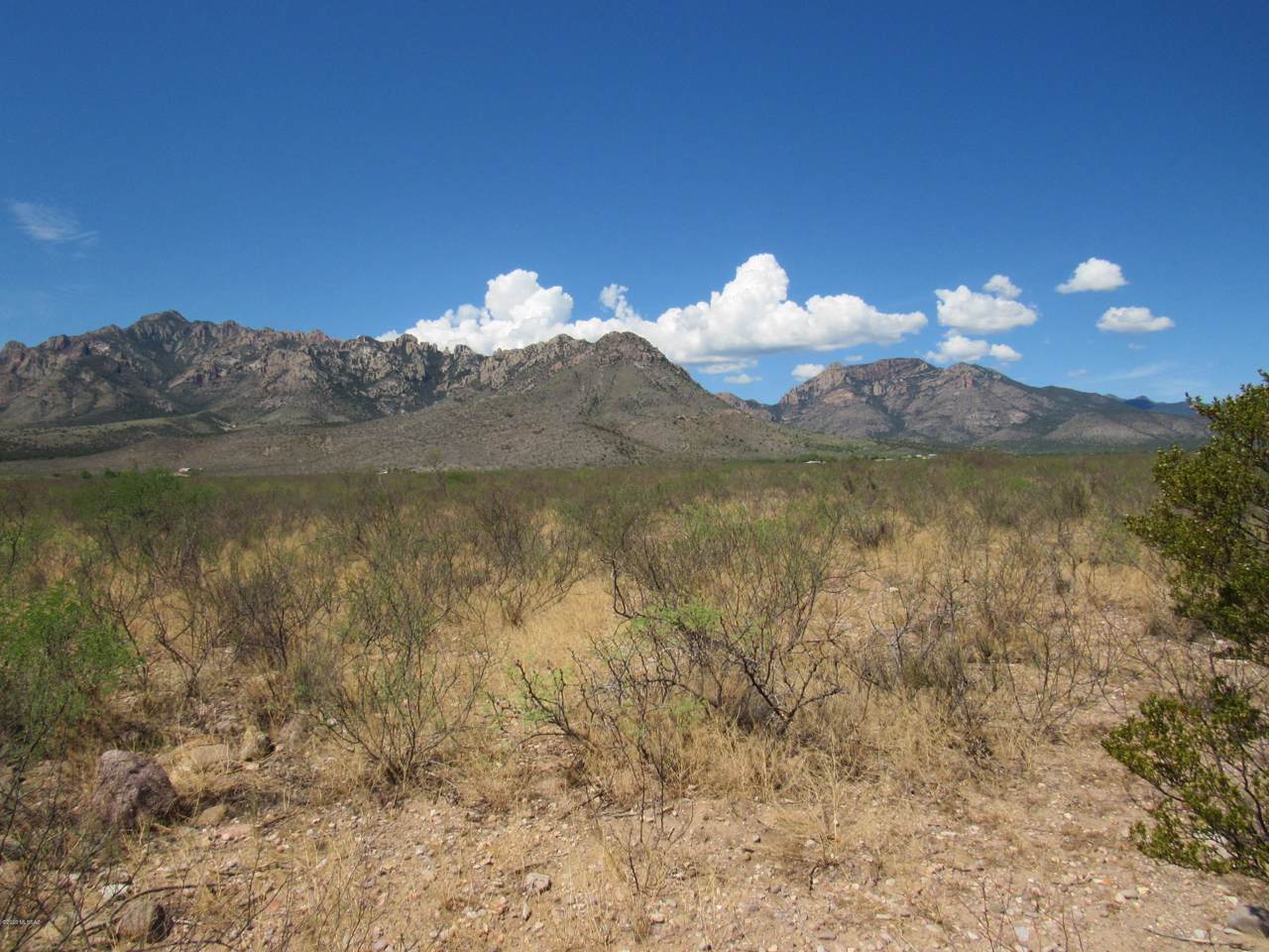 TBD Acacia Lane - Photo 1
