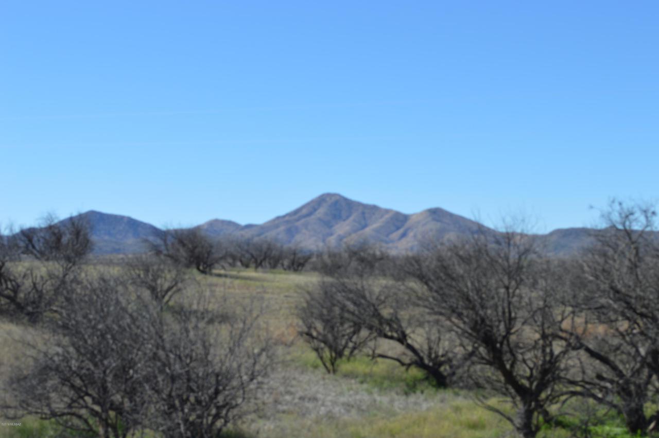 16101 Crooked Sky Road - Photo 1