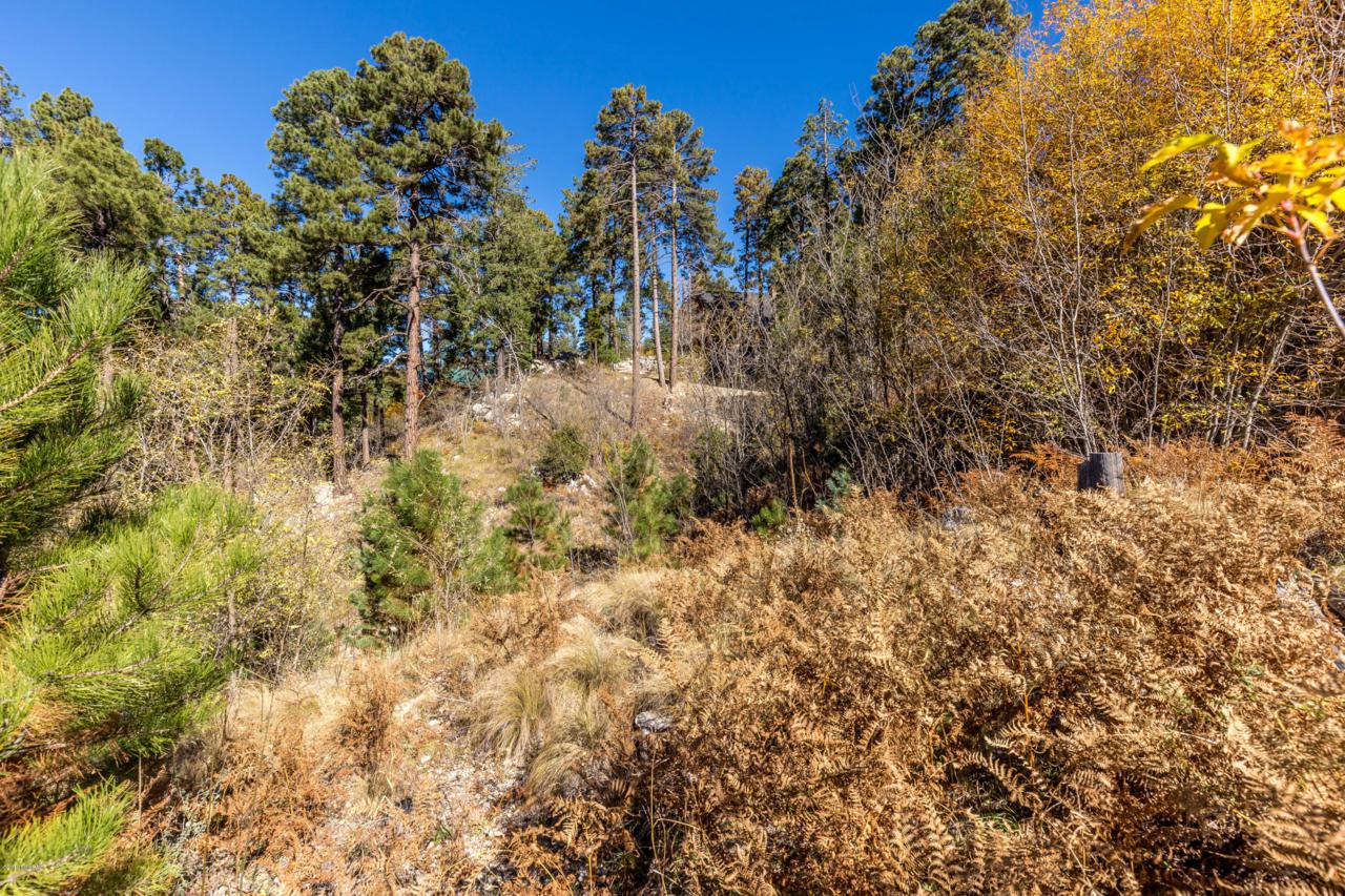 12681 Tucson Avenue - Photo 1