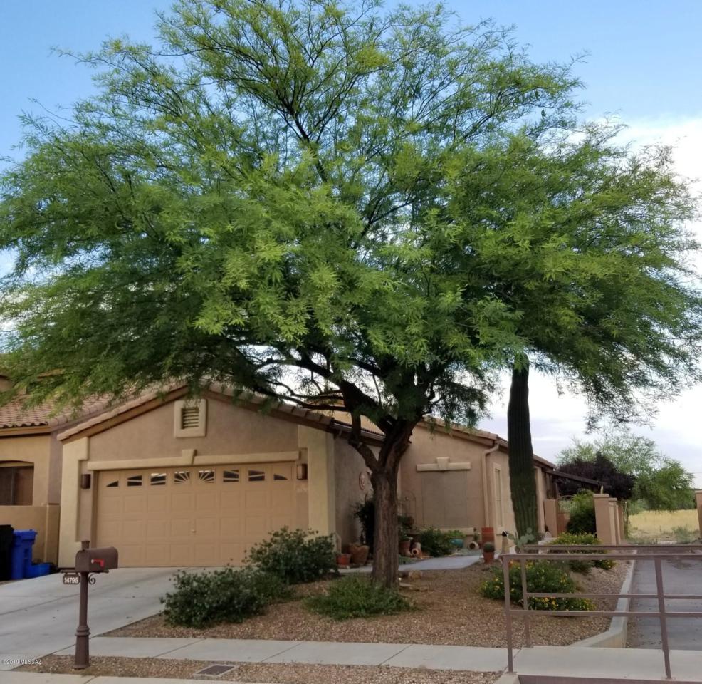14795 Avenida Cucana - Photo 1