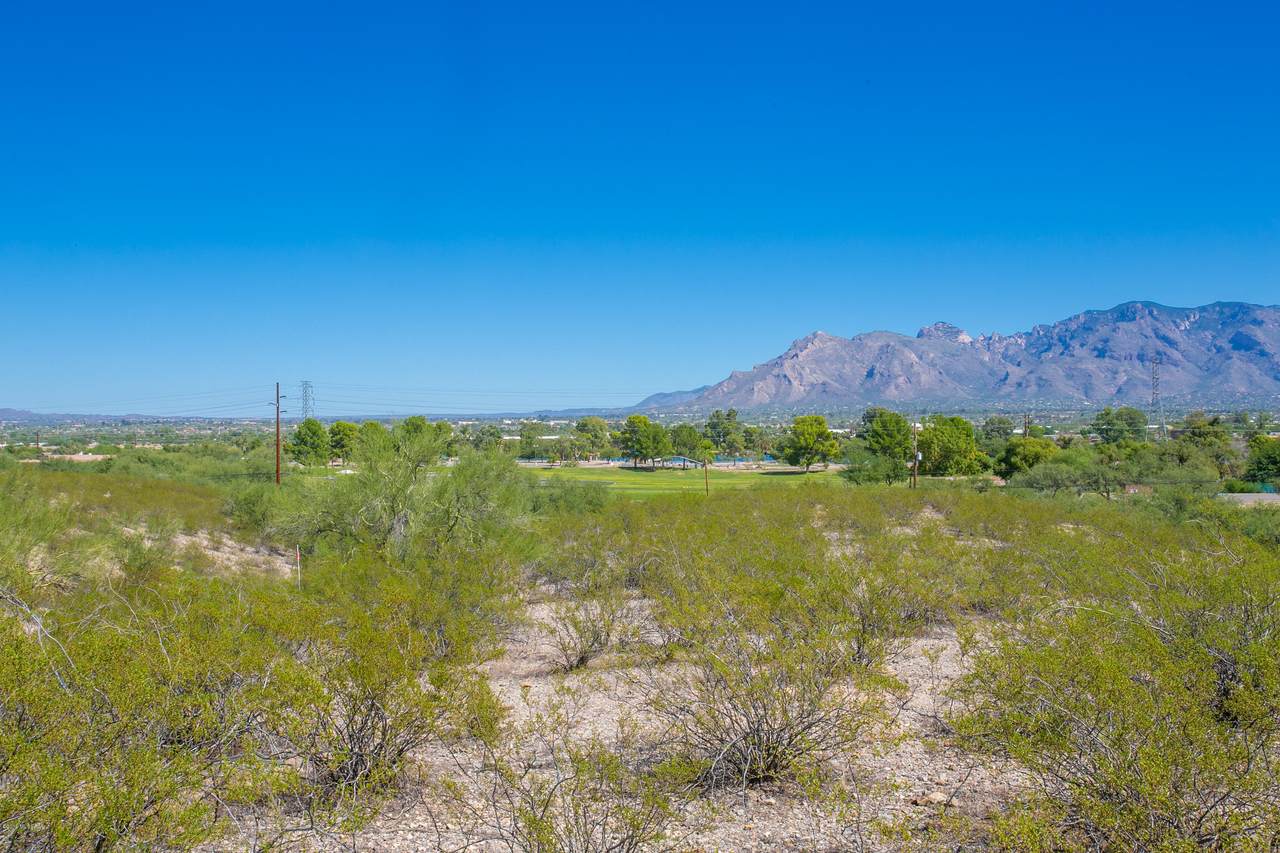 0000 Silverbell Road - Photo 1