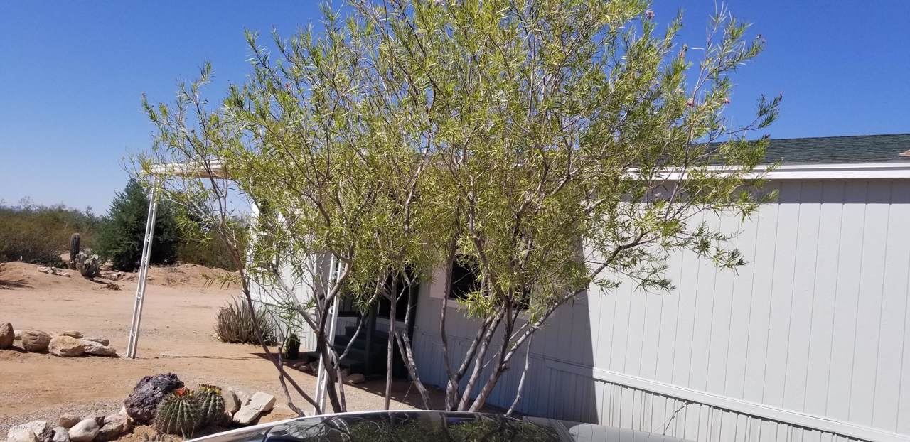 11980 Archer Drive - Photo 1