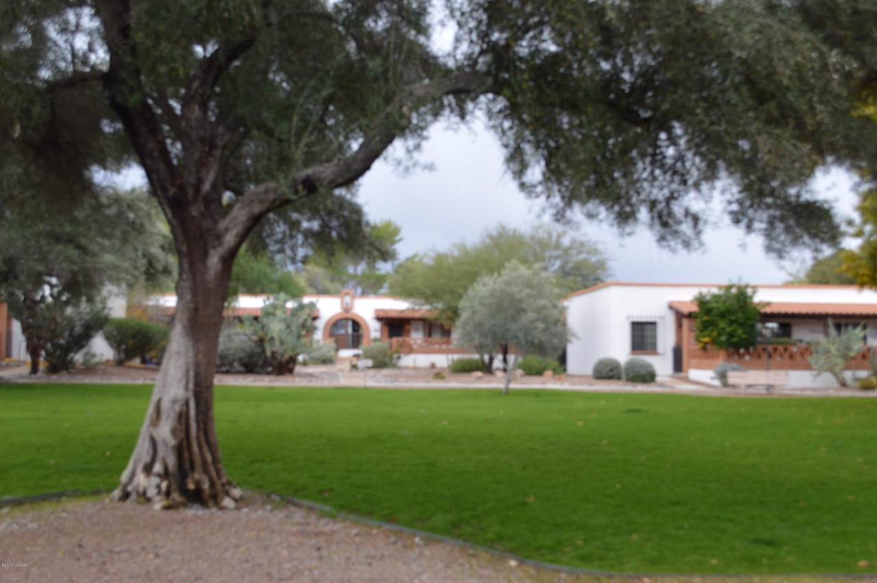 246 Paseo Pena - Photo 1