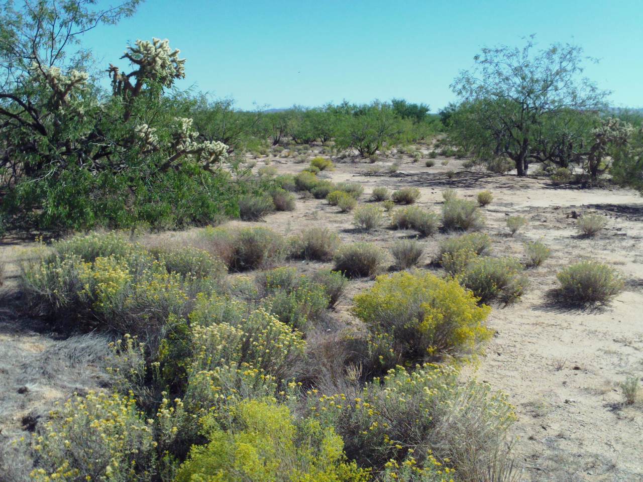 Marstellar Road - Photo 1 Marstellar Road - Photo 1