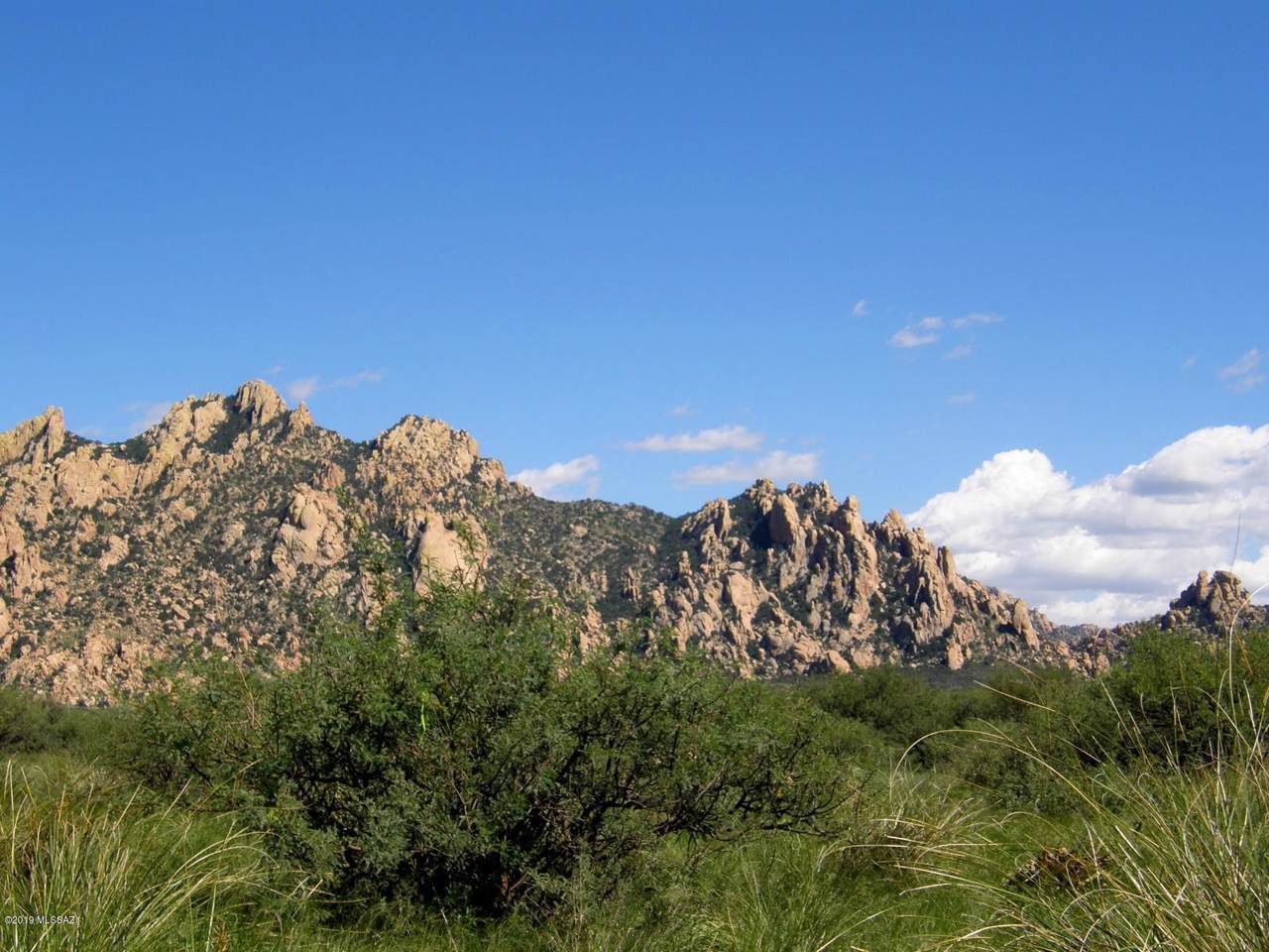 Lot 192 Diamondback Road - Photo 1