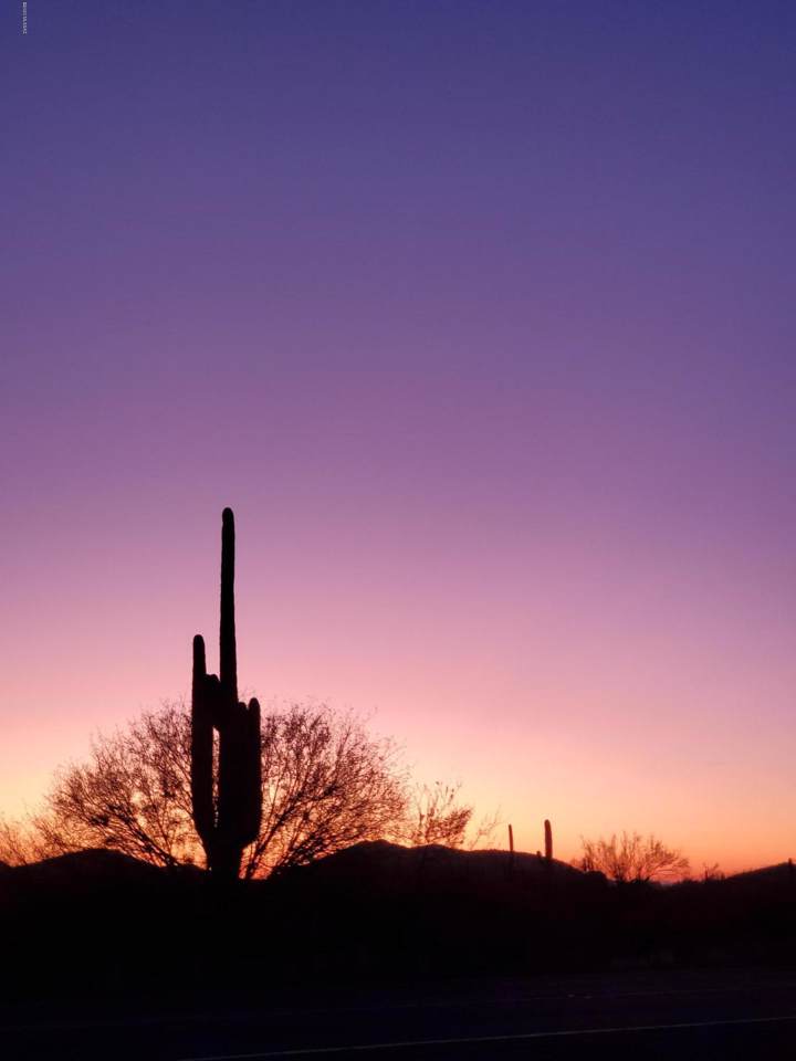 20723 Highway 79 Az - Photo 1
