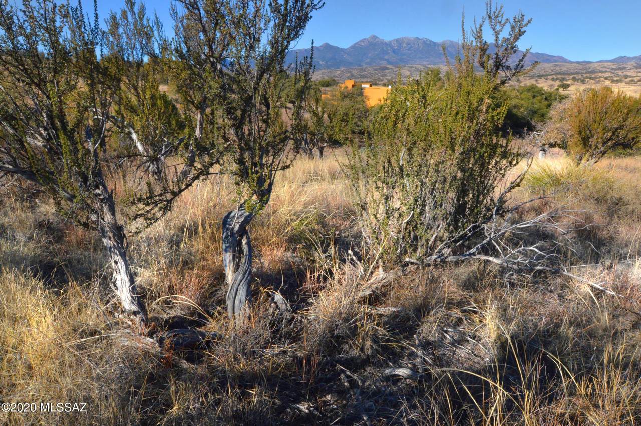 Lot 4 Franklin Lane - Photo 1