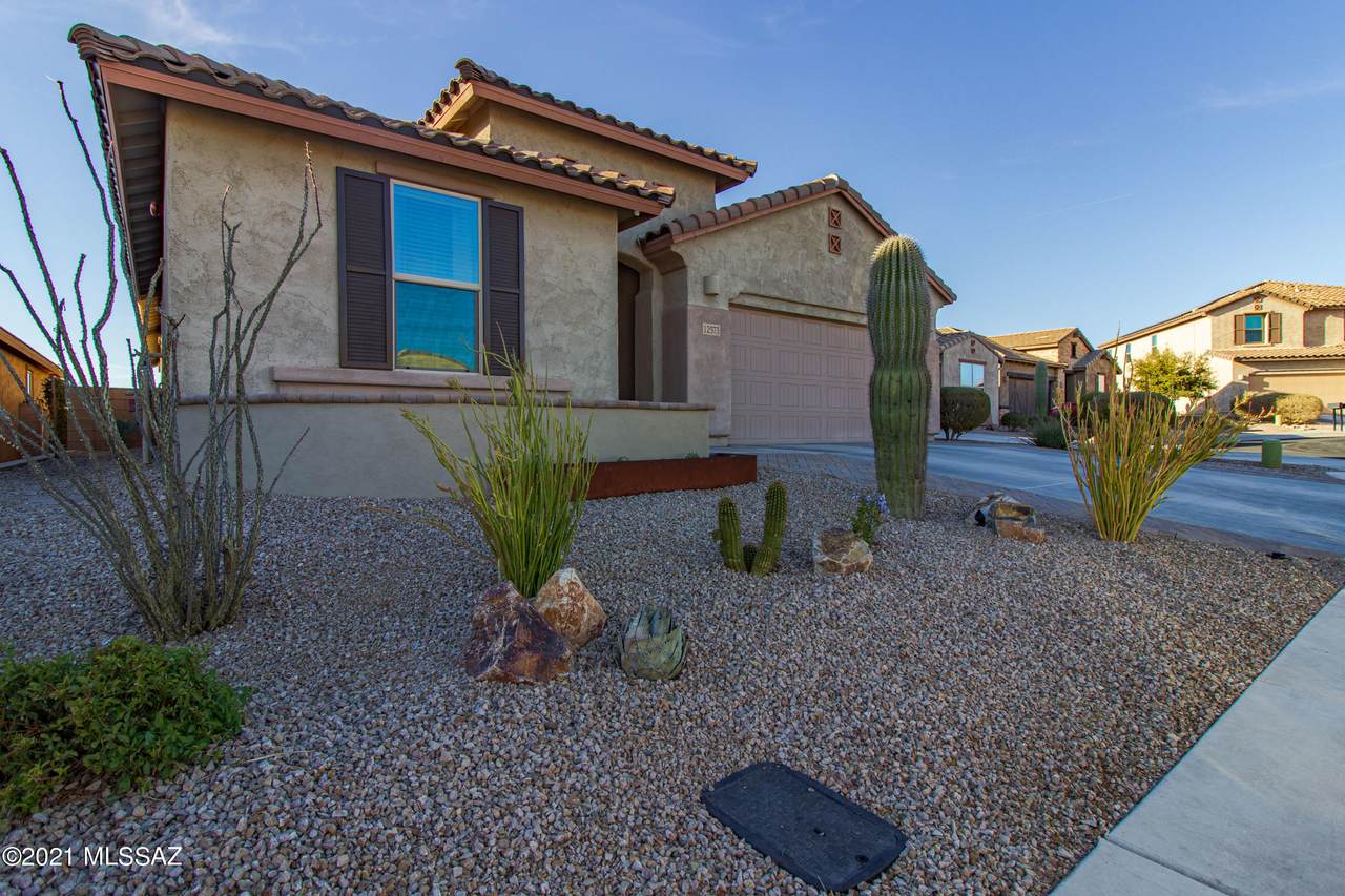 12573 Summer Wind Drive - Photo 1