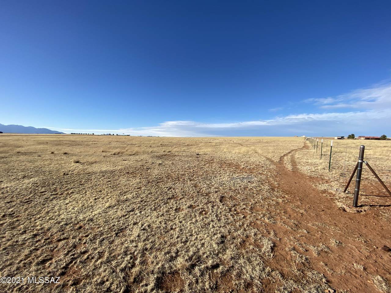 000 Alexander Lane - Photo 1