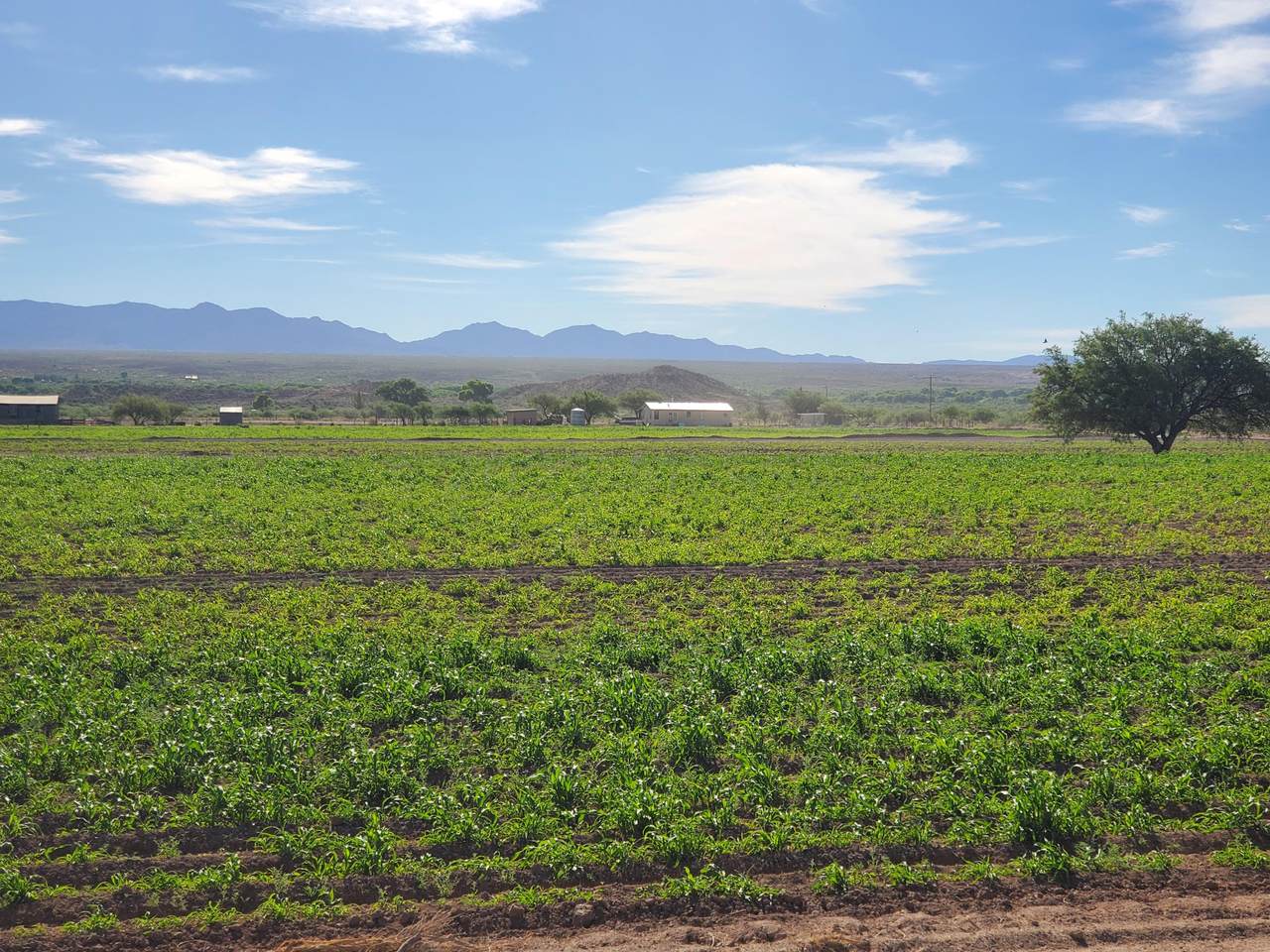 416 Escalante Road - Photo 1