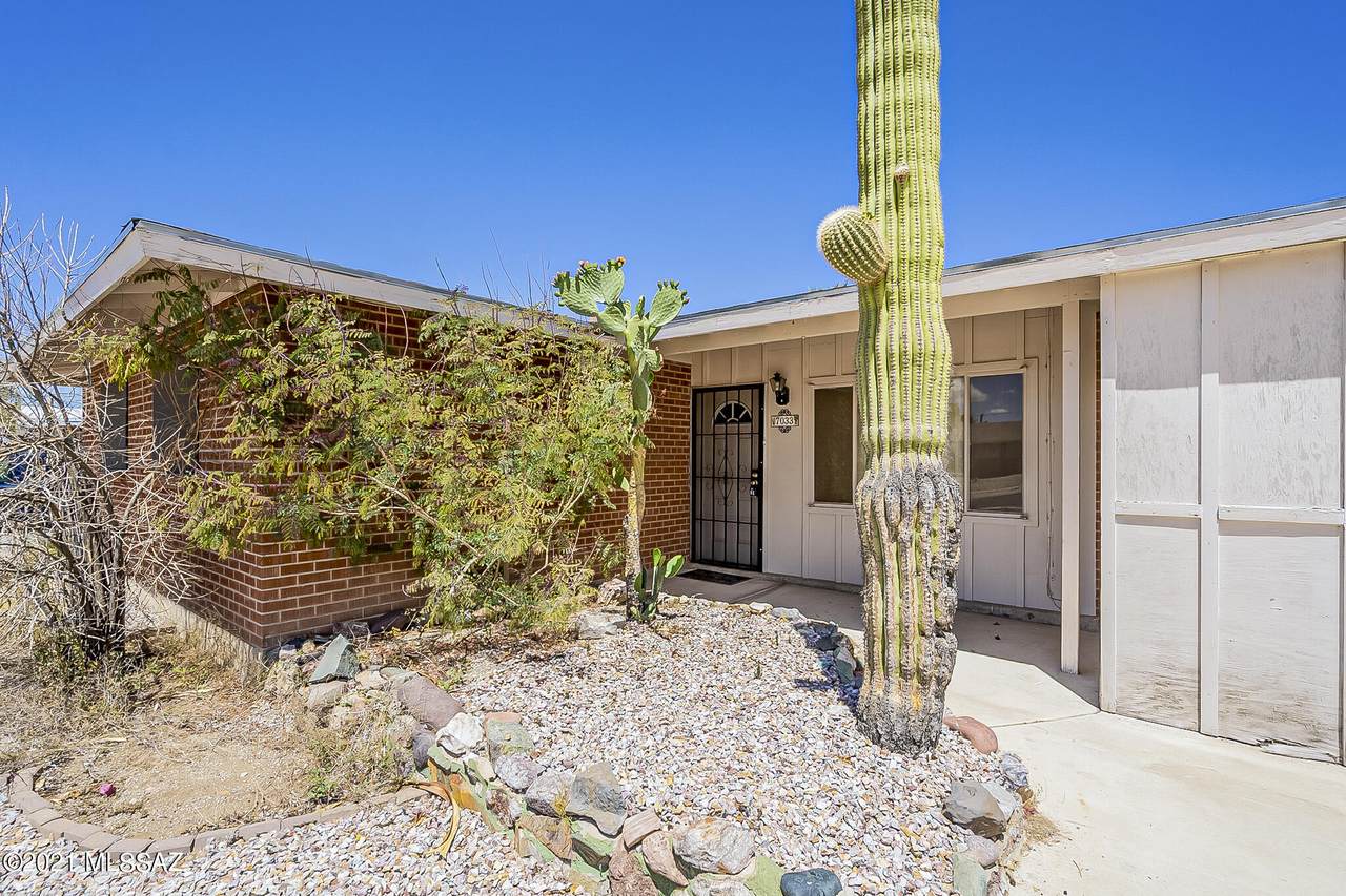 7033 Calle Orion - Photo 1
