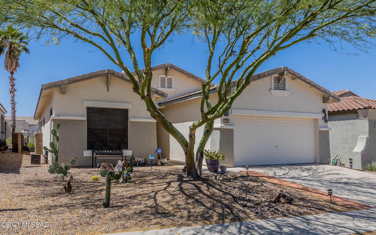 9854 Wind Dancer Drive - Photo 1