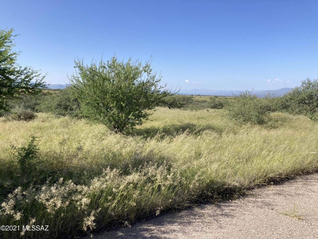 86 Desert Senna Trail - Photo 1