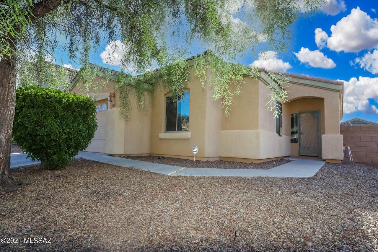 6265 Ocotillo Meadow Drive - Photo 1