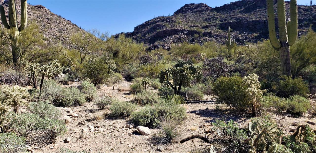 4470 Random Rock Place - Photo 1
