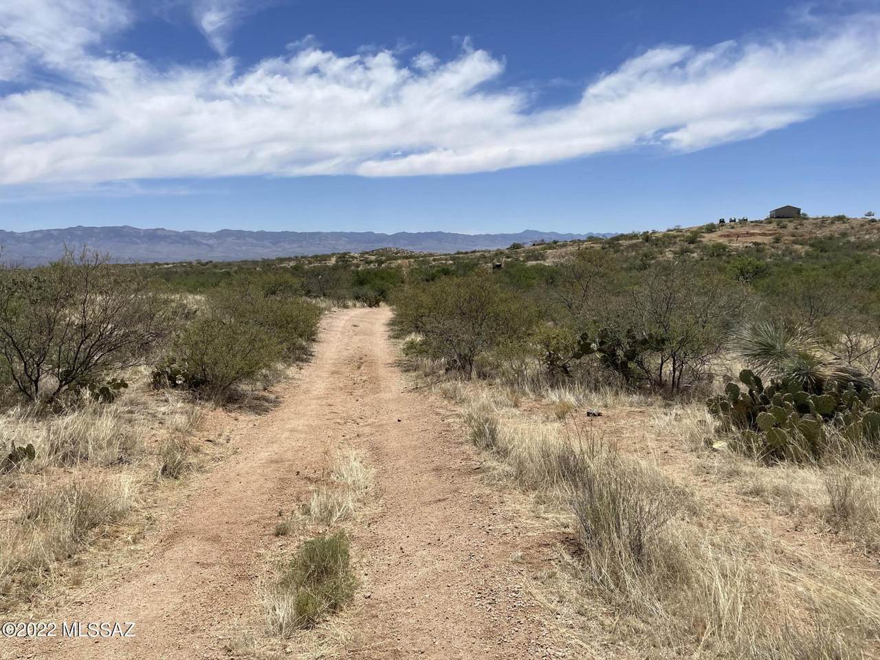 TBD Goldbug Road - Photo 1