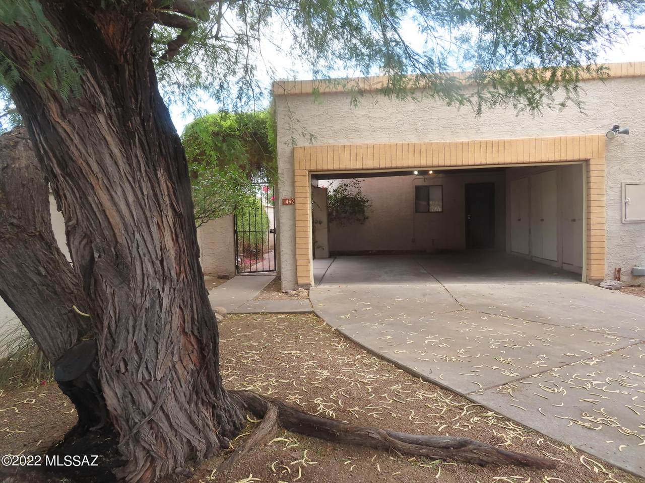 1462 Calle Gallego - Photo 1