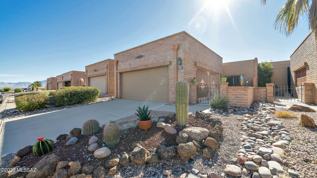 1651 Calle Del Grajo - Photo 1