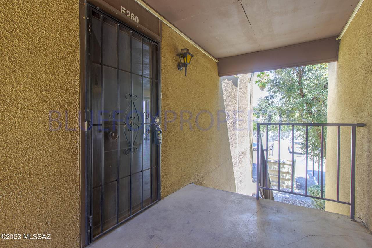 1620 Wilmot Road - Photo 1