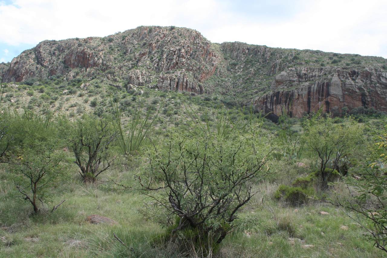 140 Tejano Springs Road - Photo 1