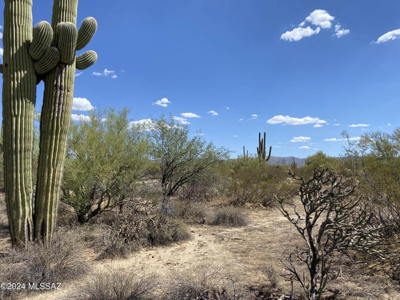 https://bt-photos.global.ssl.fastly.net/tucson/1280_boomver_2_22424539-2.jpg