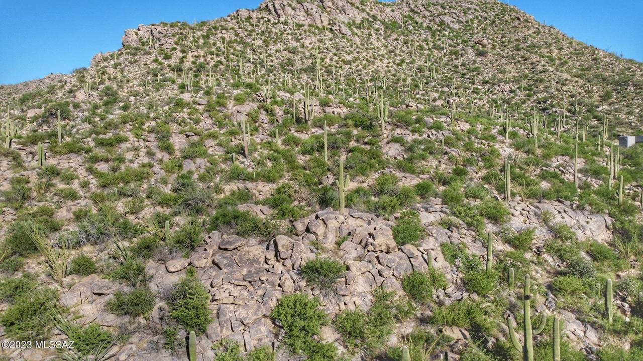 https://bt-photos.global.ssl.fastly.net/tucson/1280_boomver_2_22424626-2.jpg
