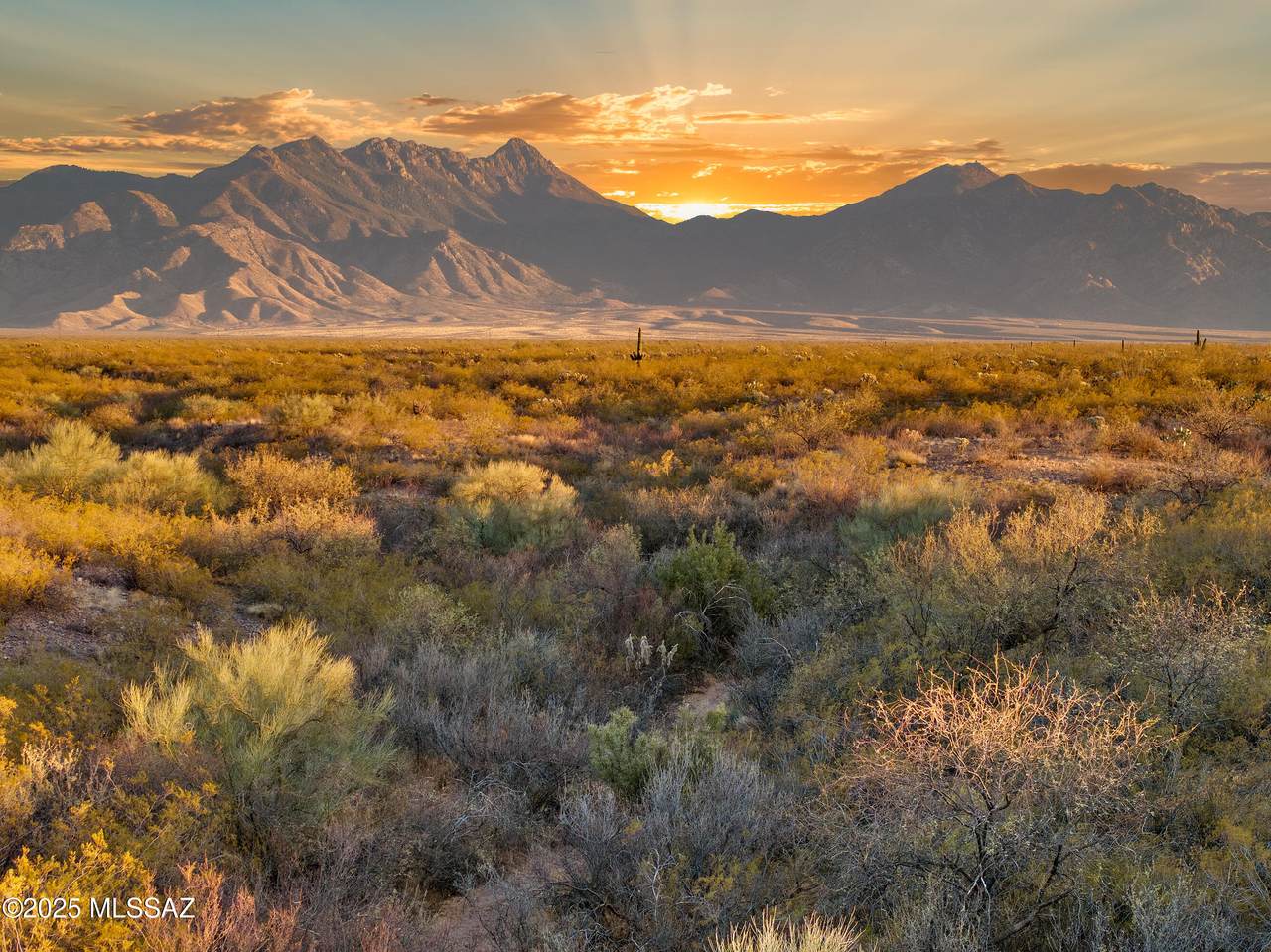 1219 Madera Estates Lane - Photo 1