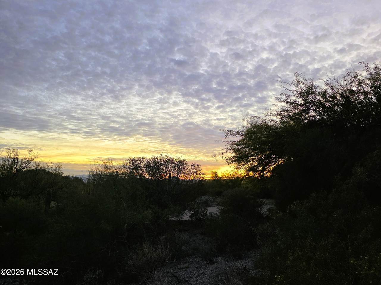 4051 Camino Montecillo - Photo 1