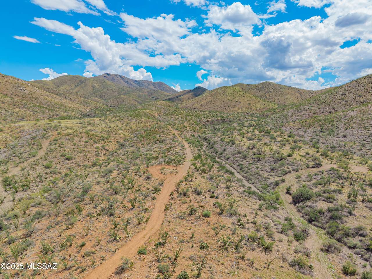 18835 Houghton Road - Photo 1