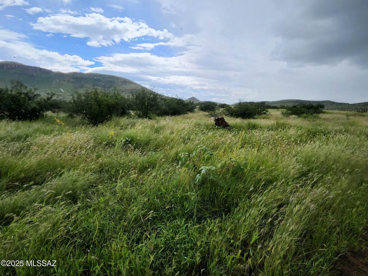 TBD Double U Ranch Road - Photo 1