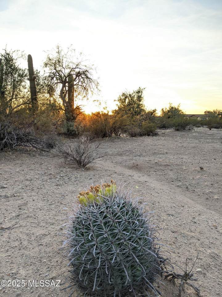 12417 Nolen Road - Photo 1