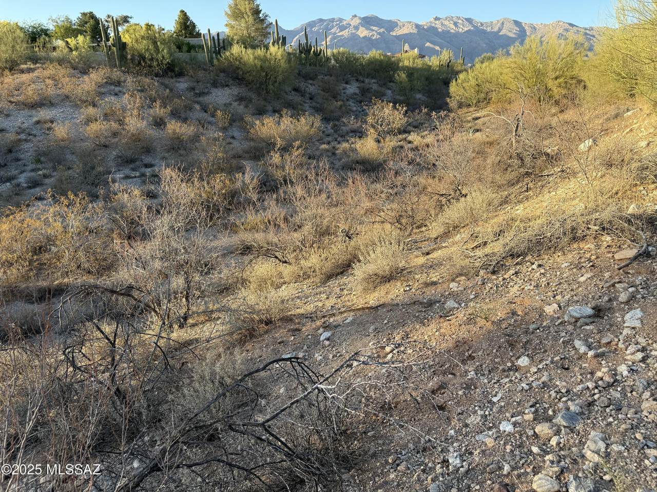 3961 San Simeon Drive - Photo 1