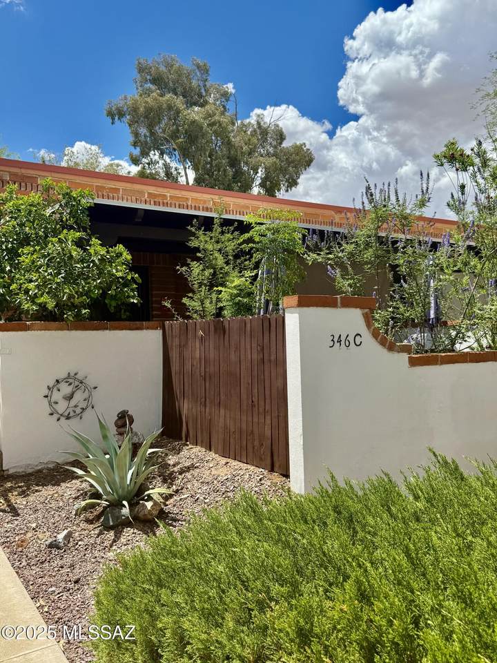 346 Paseo Aguila - Photo 1