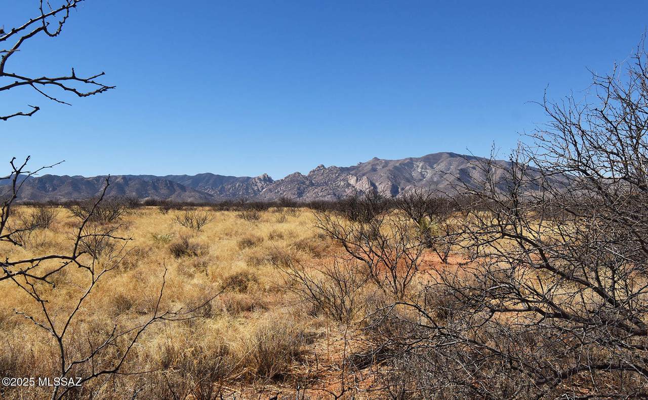 https://bt-photos.global.ssl.fastly.net/tucson/1280_boomver_2_22513275-2.jpg