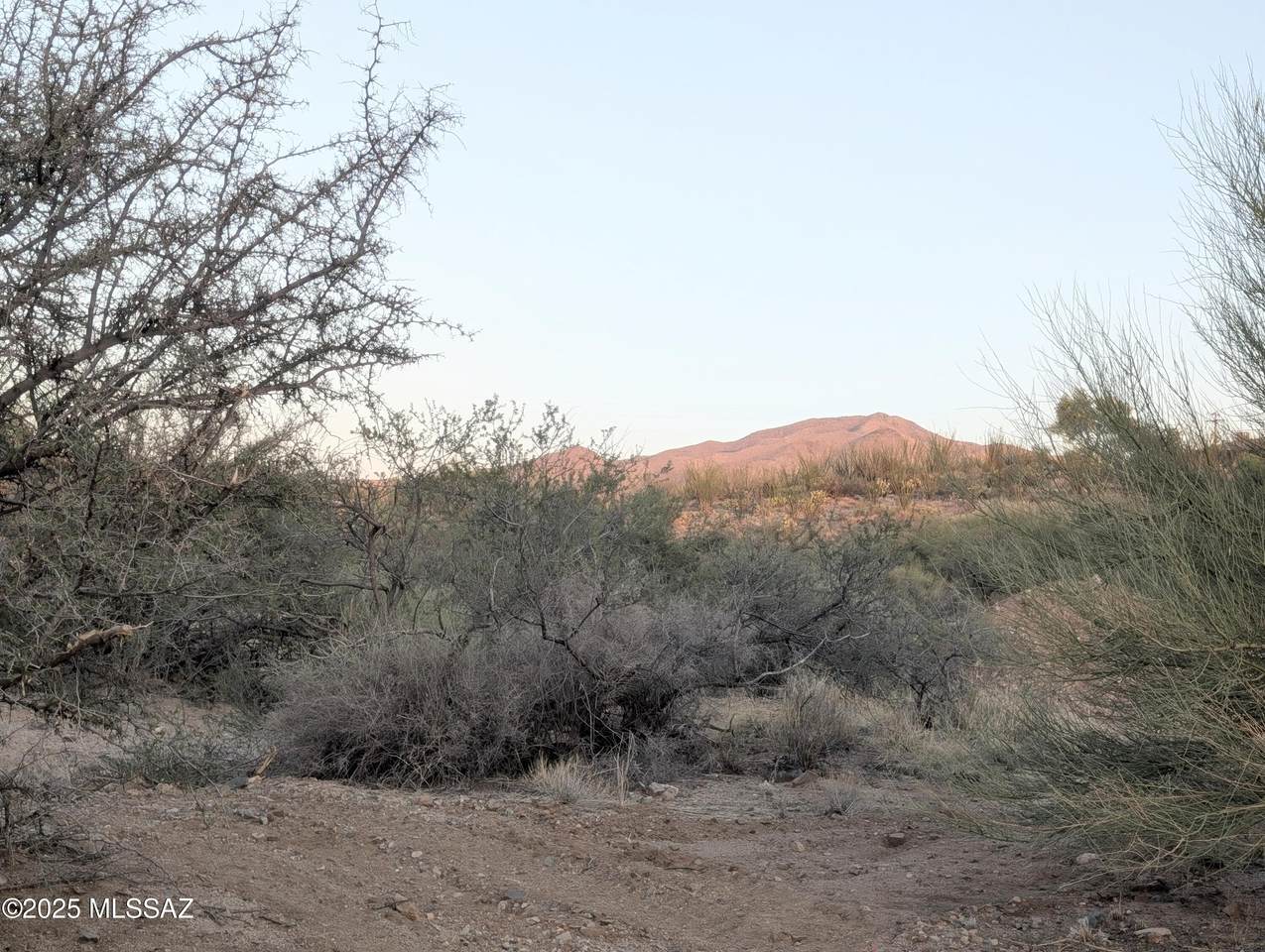 https://bt-photos.global.ssl.fastly.net/tucson/1280_boomver_2_22515988-2.jpg